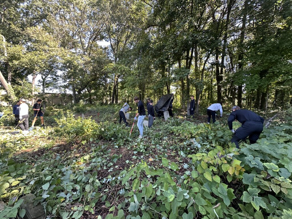 Wake Forest Baseball team works to clear brush at Odd Fellows Cemetery.